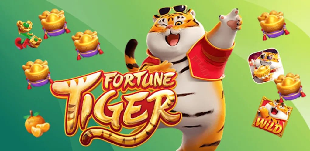 main55